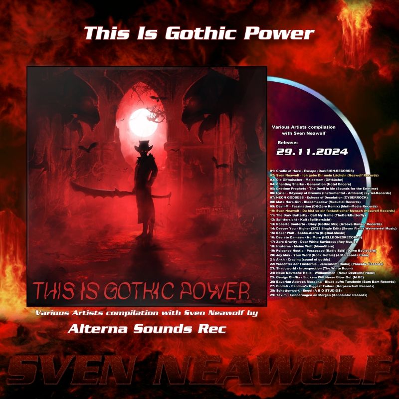 album ... ... This Is Gothic Power